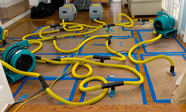 Professional Burst Pipe Water Damage technician working in Bristol, IL